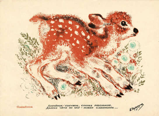 Чарушин Евгений Иванович. Оленёнок